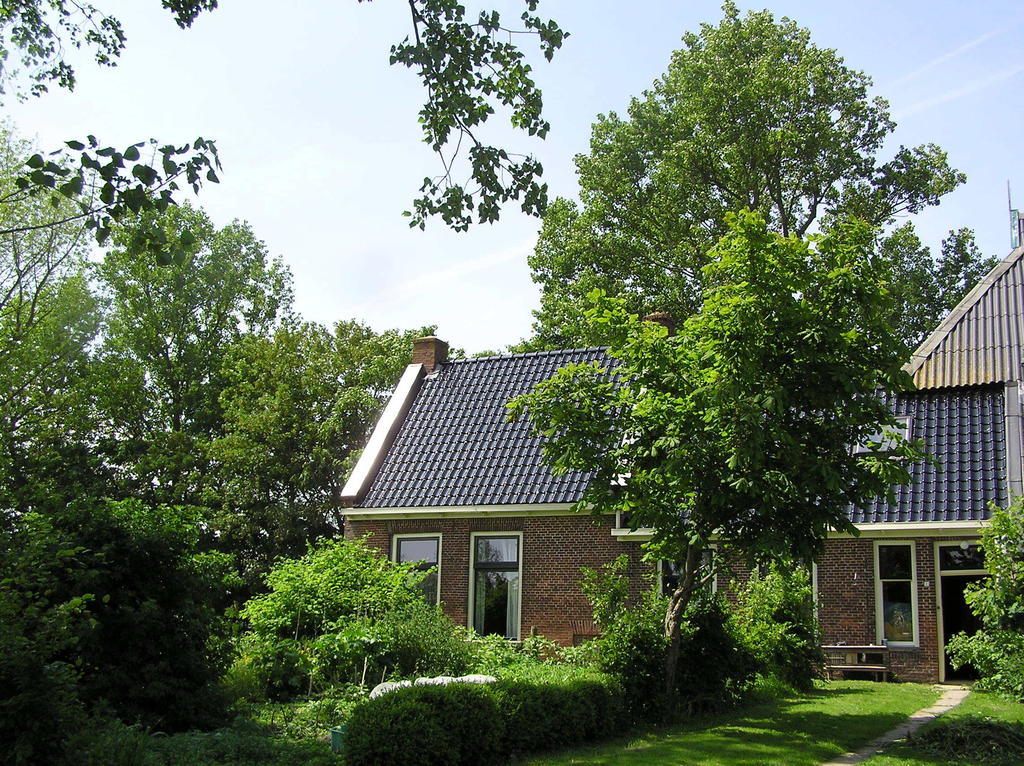 Logement Doosje Warfstermolen Exteriér fotografie