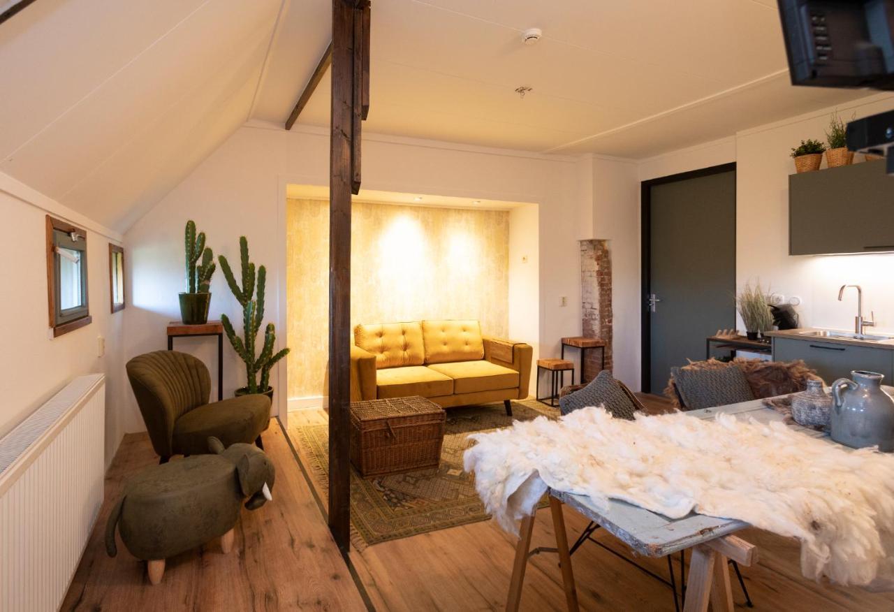 Logement Doosje Warfstermolen Exteriér fotografie