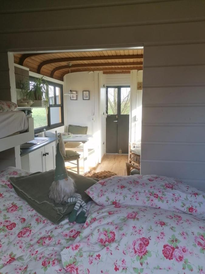 Logement Doosje Warfstermolen Exteriér fotografie